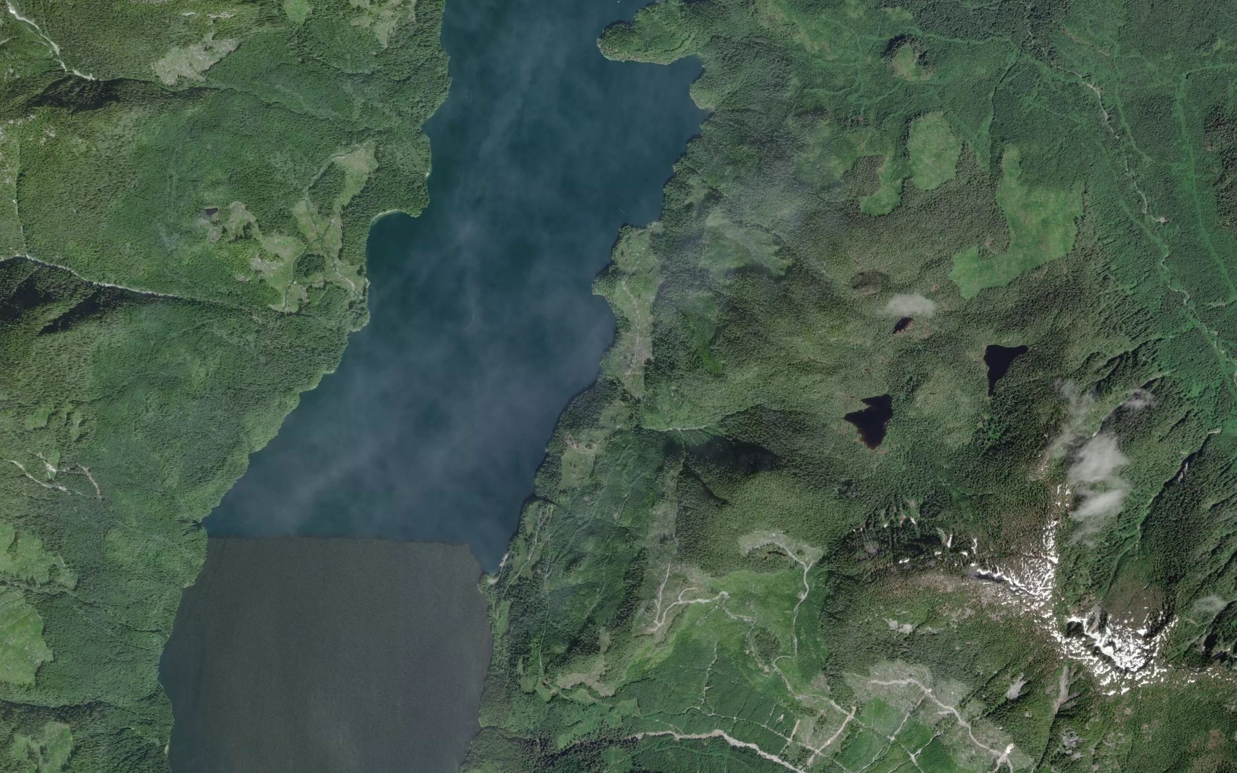 Satellite map of the Shamrock Creek