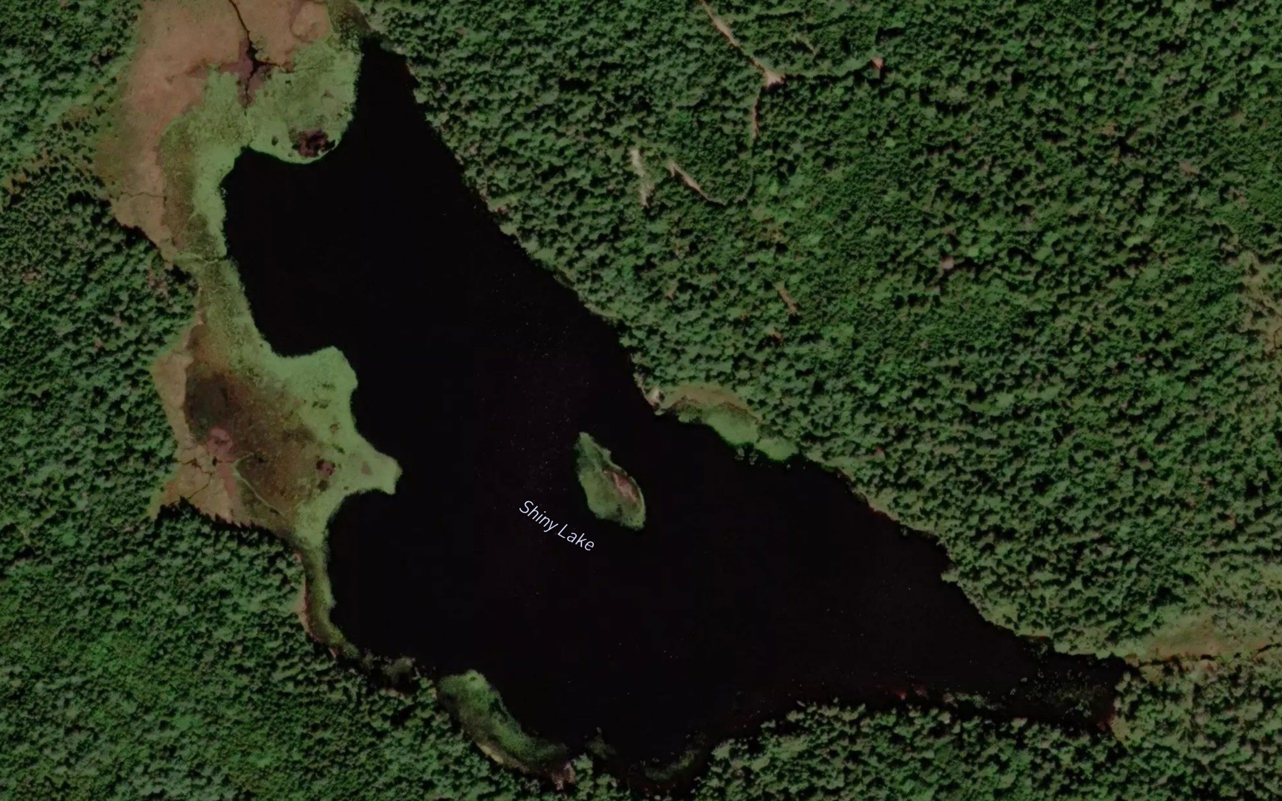 Shiny Lake