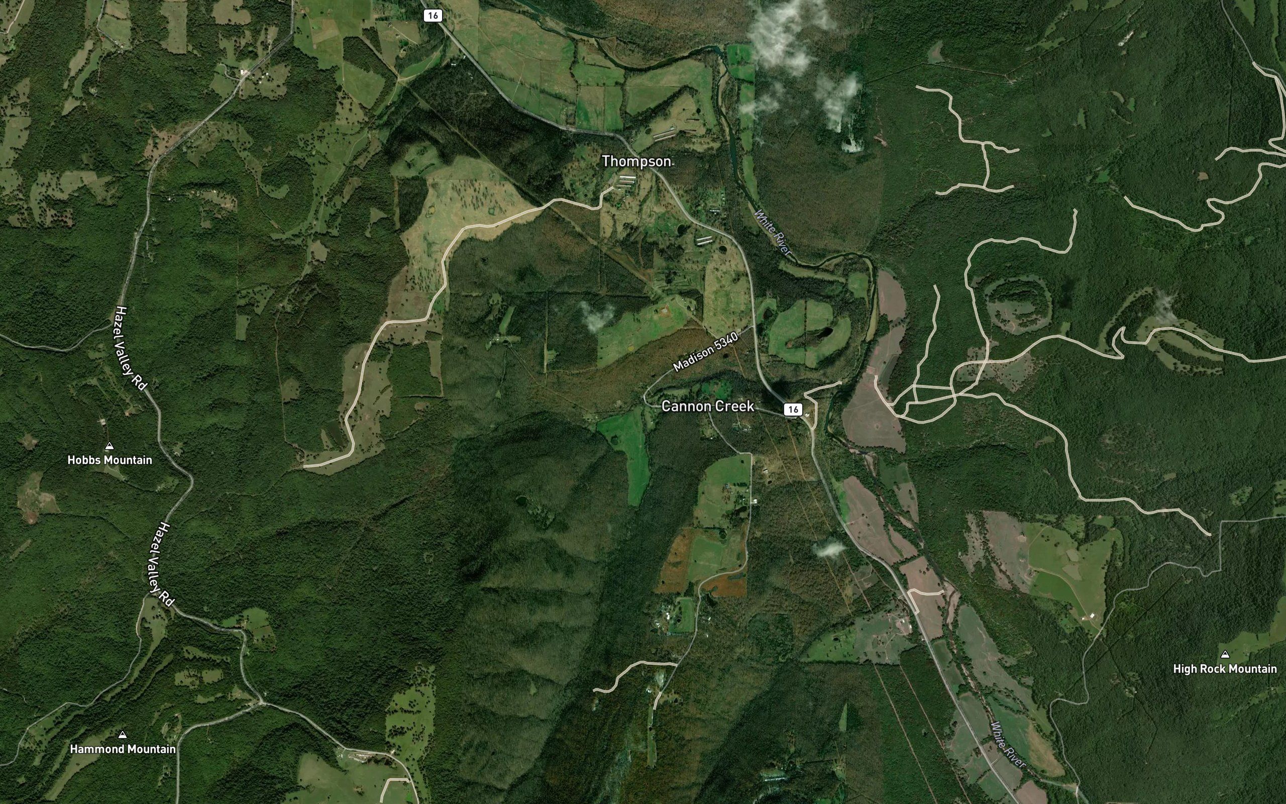 Coon Creek