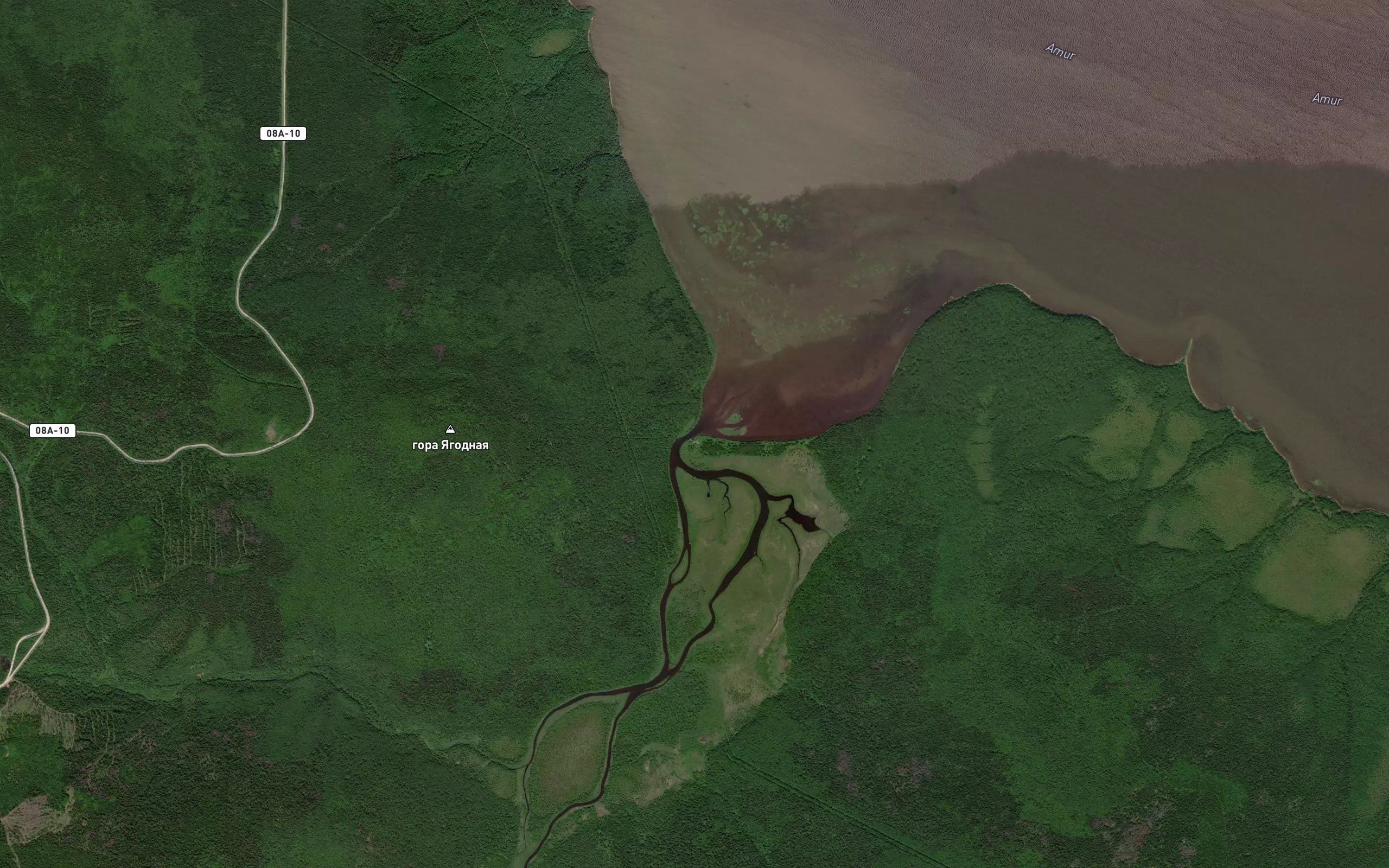 Tarakanovka