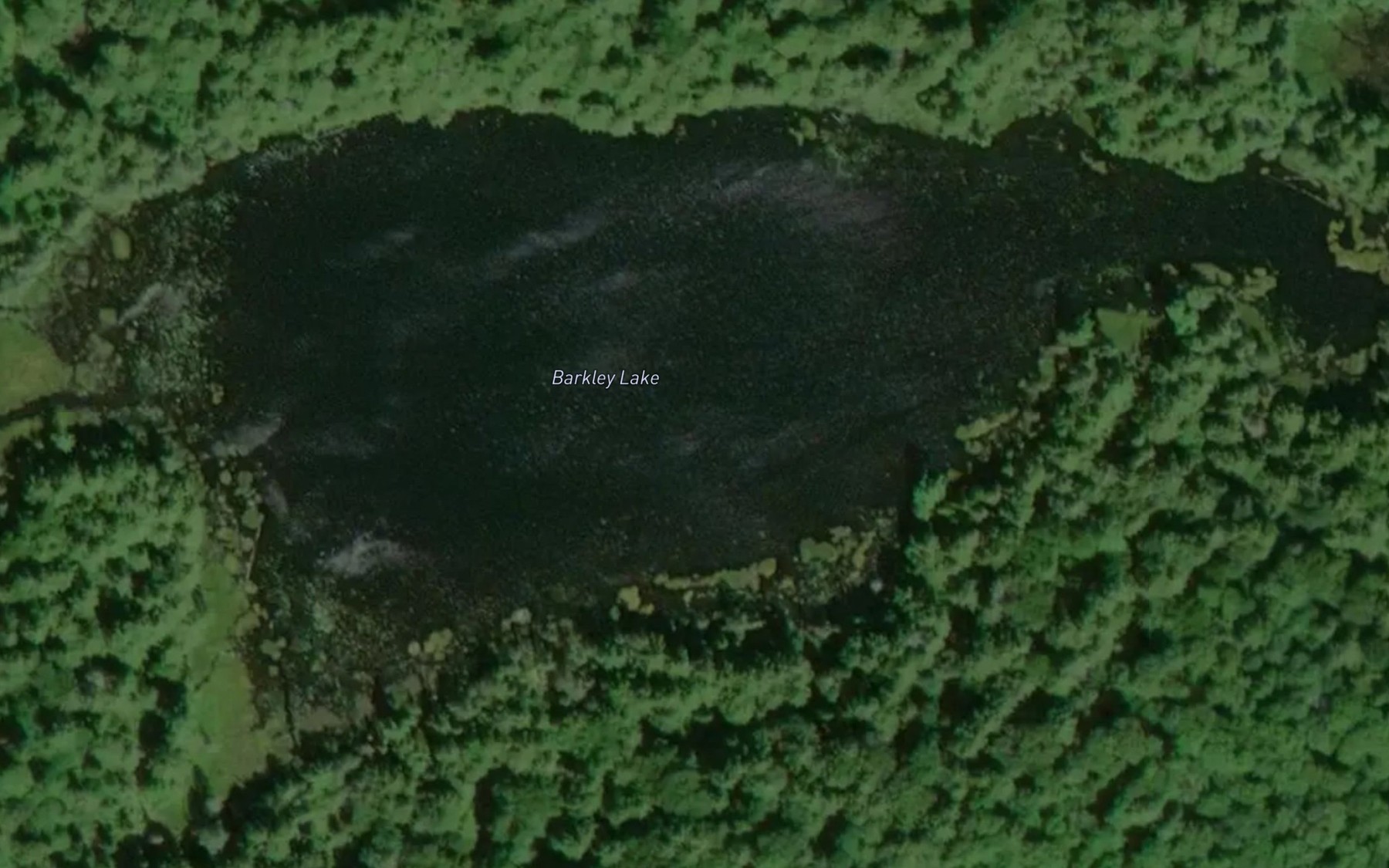Satellite map of the Barkley Lake