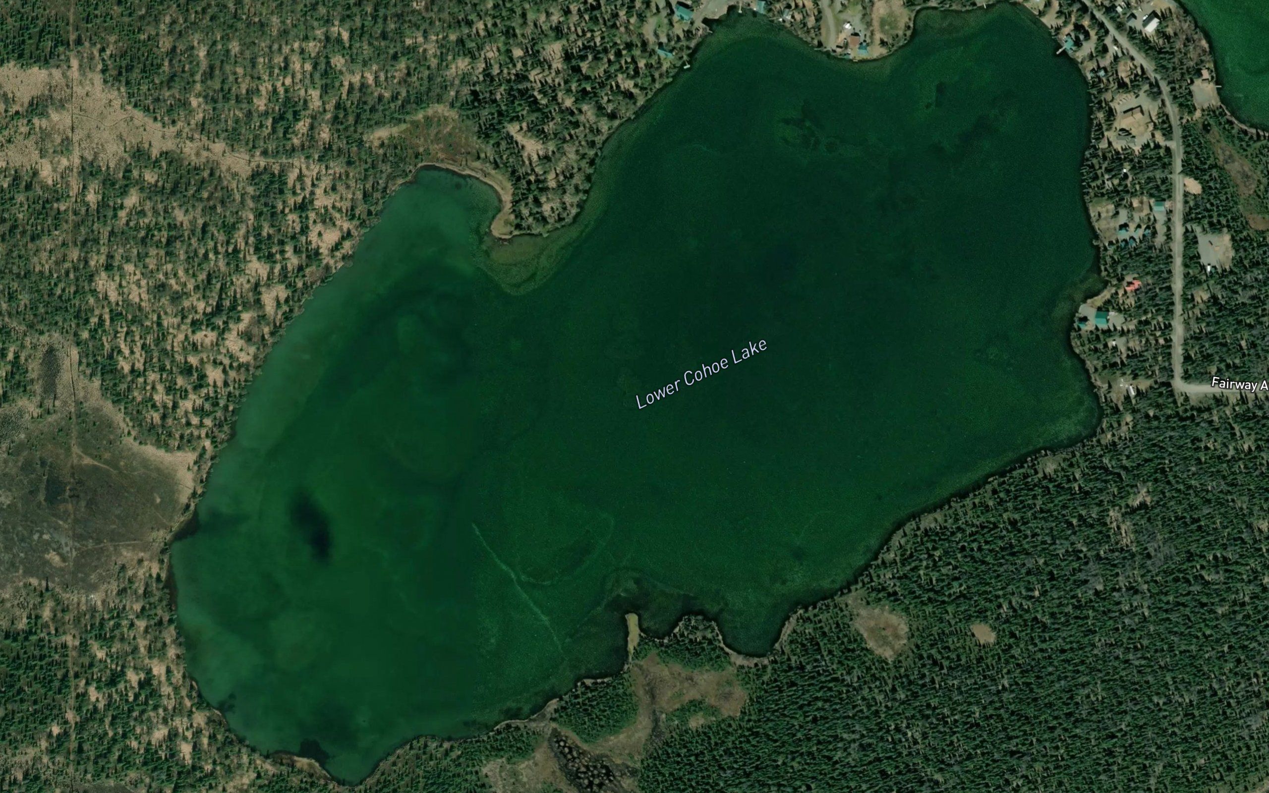 Lower Cohoe Lake