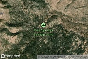 Pine Spring