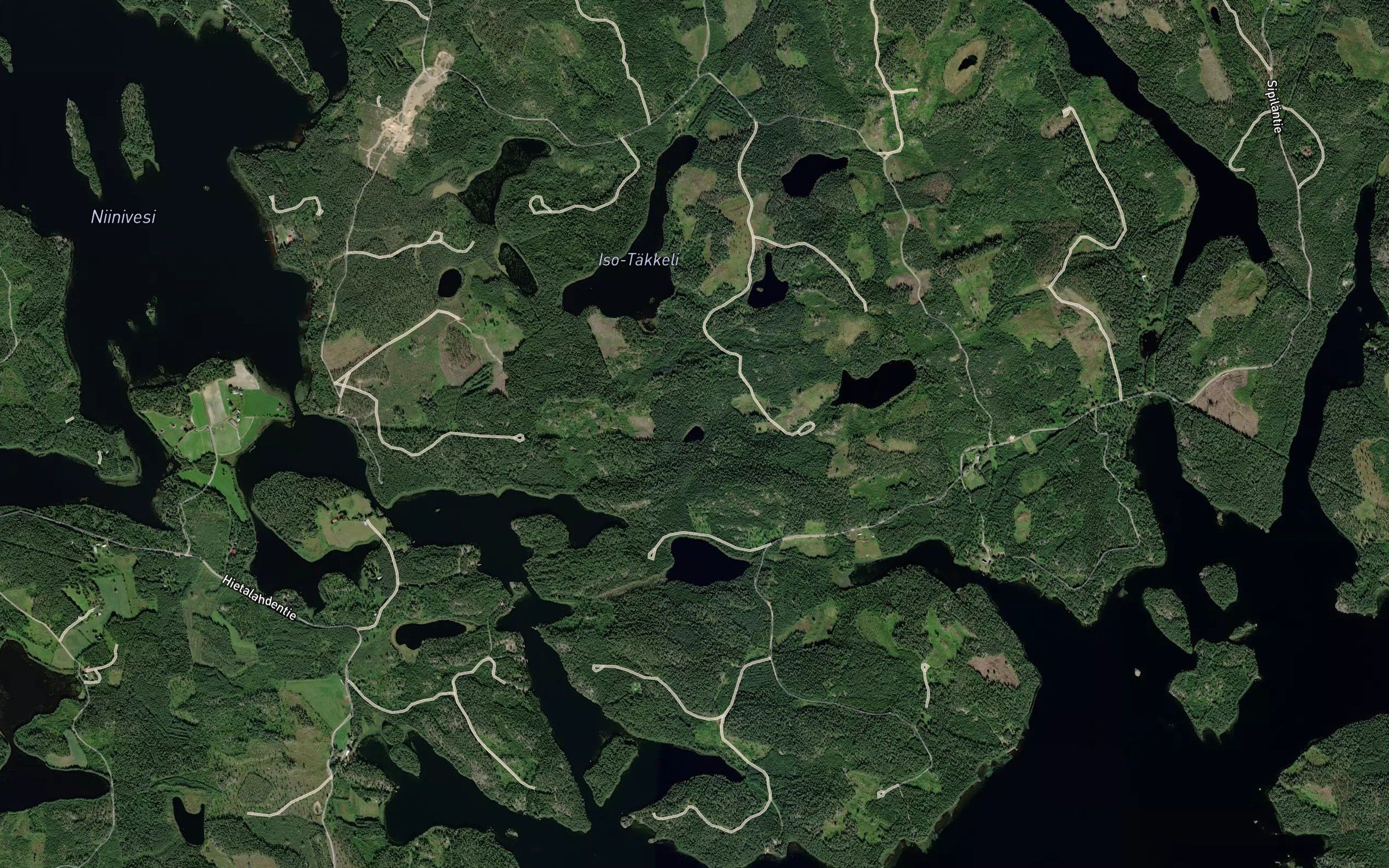 Rytolampi
