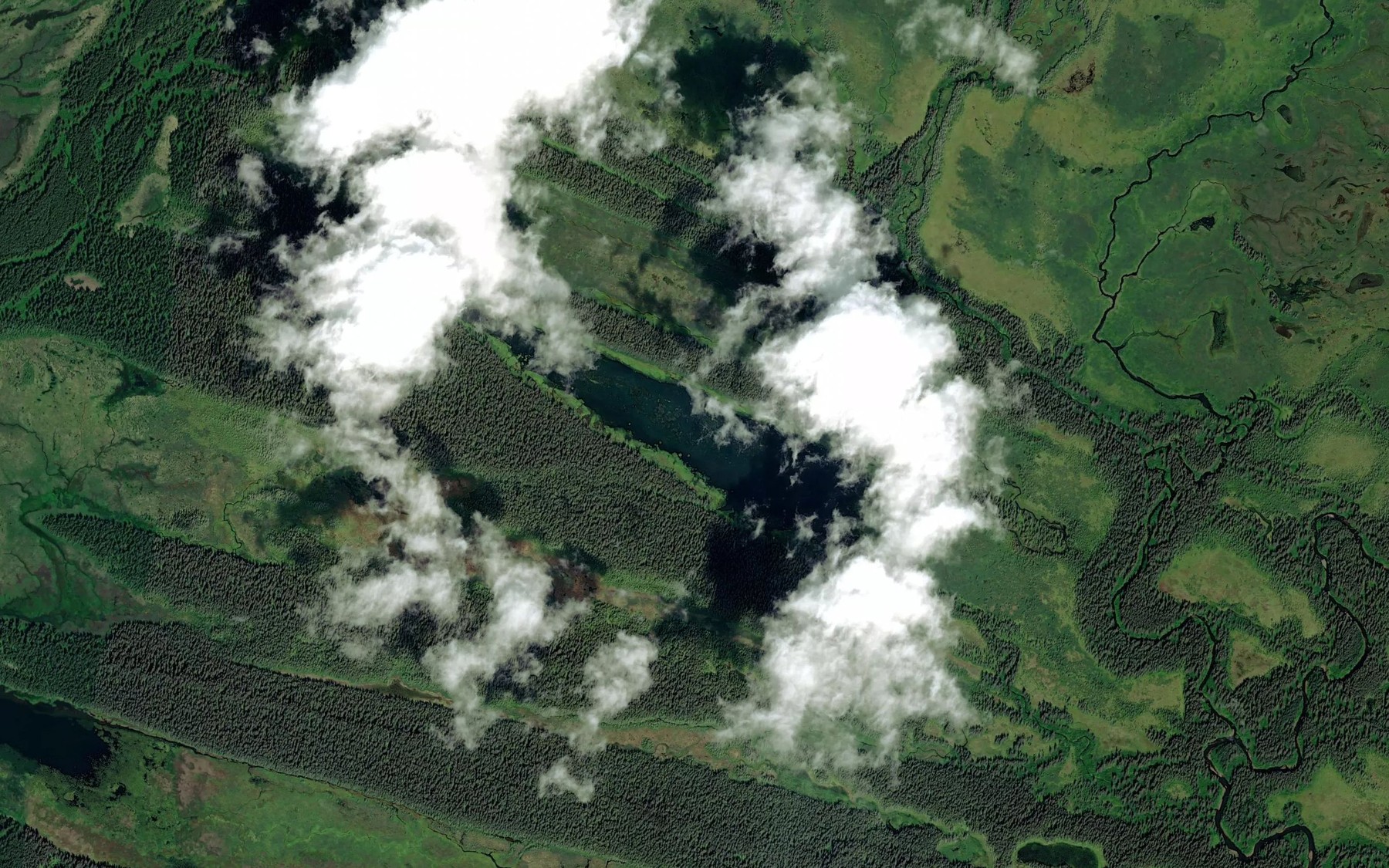 Satellite map of the Triangle Lake