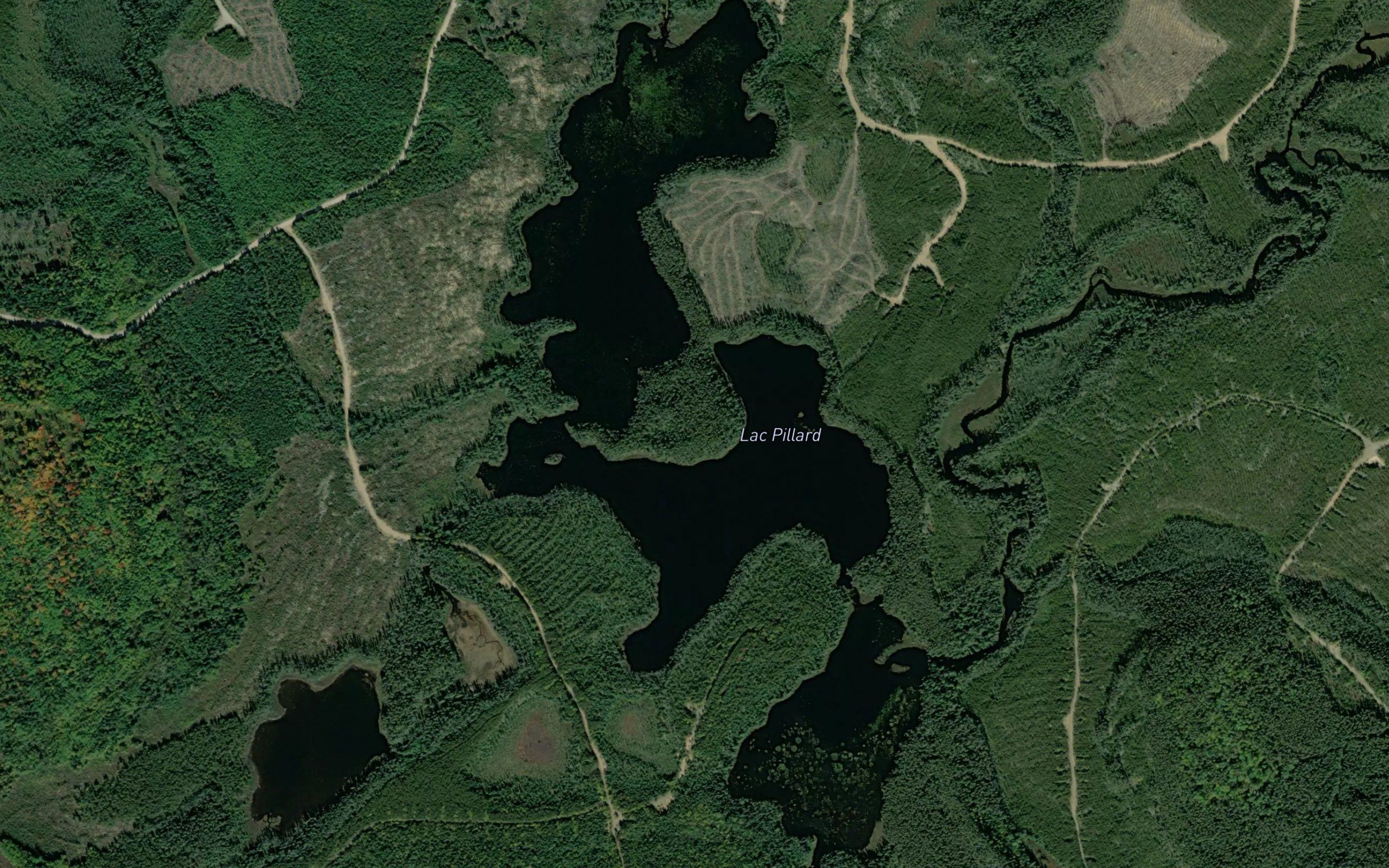 Lac Pillard