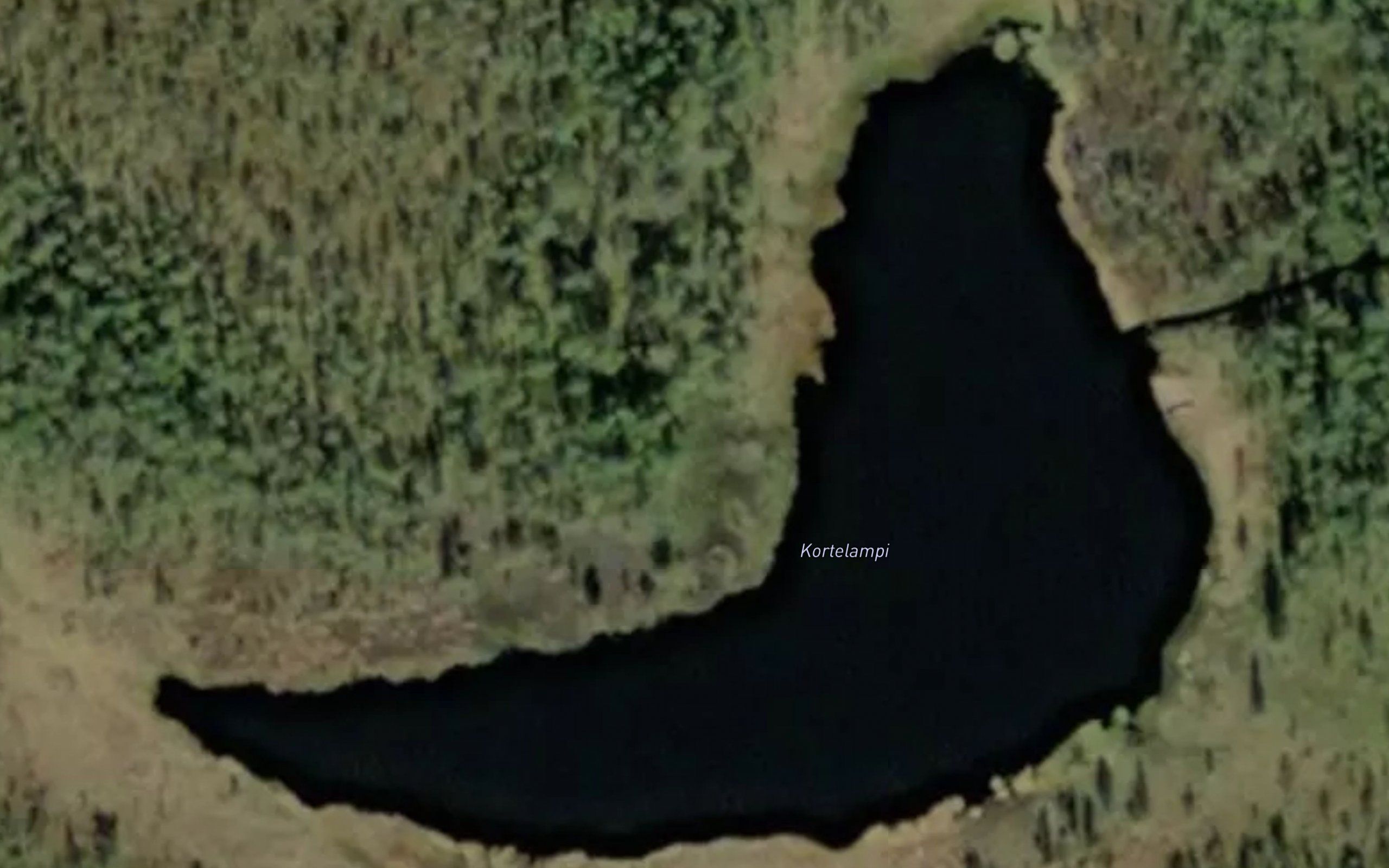 Kortelampi