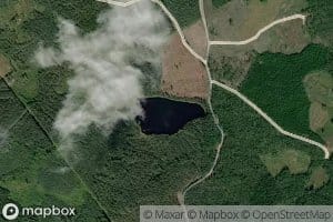 Sarvilampi