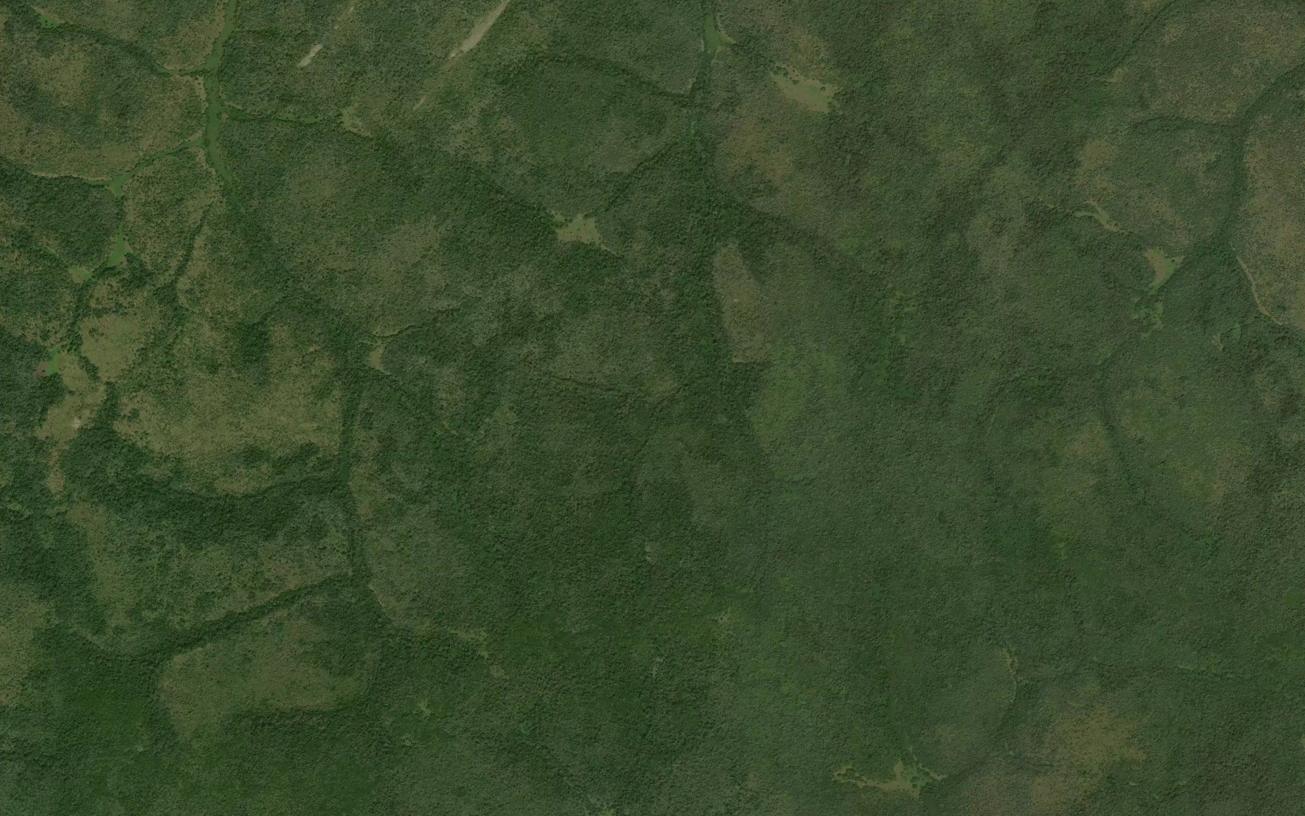Bandindi