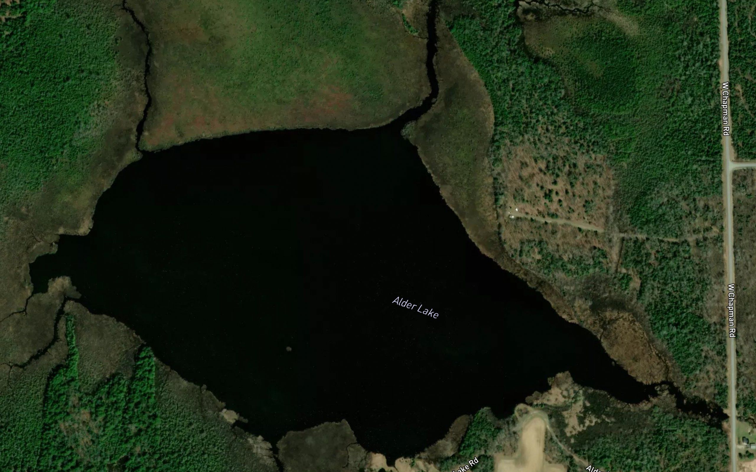 Alder Lake