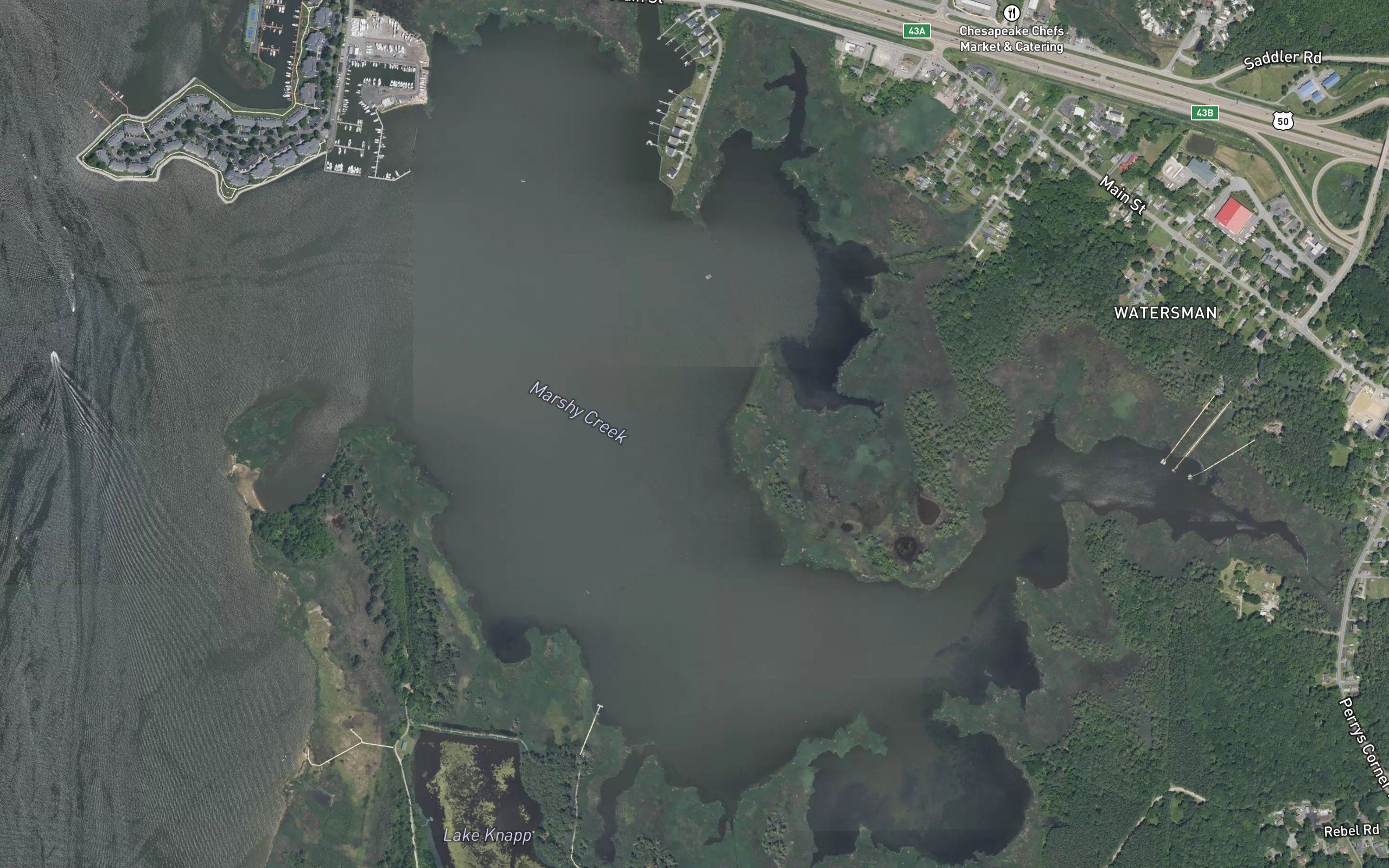 Marshy Creek