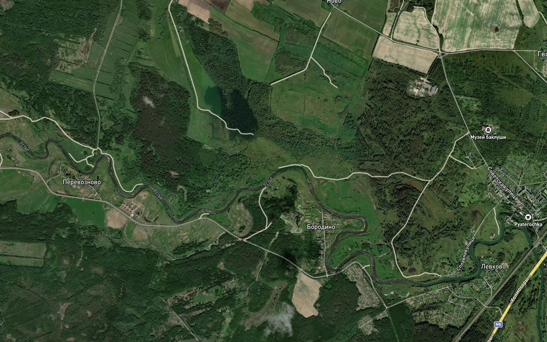 Satellite map of the Lut'