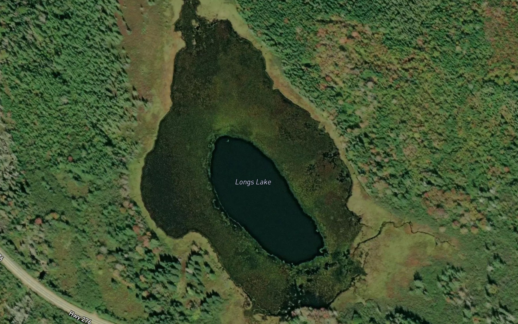 Satellite map of the Longs Lake