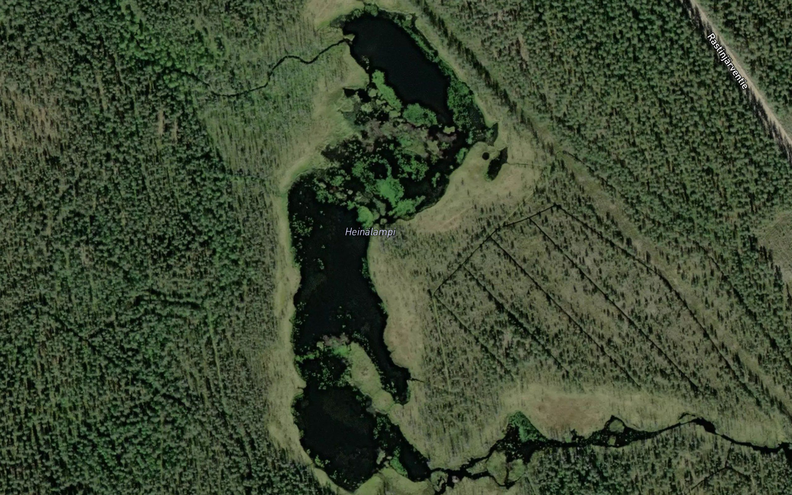 Heinalampi