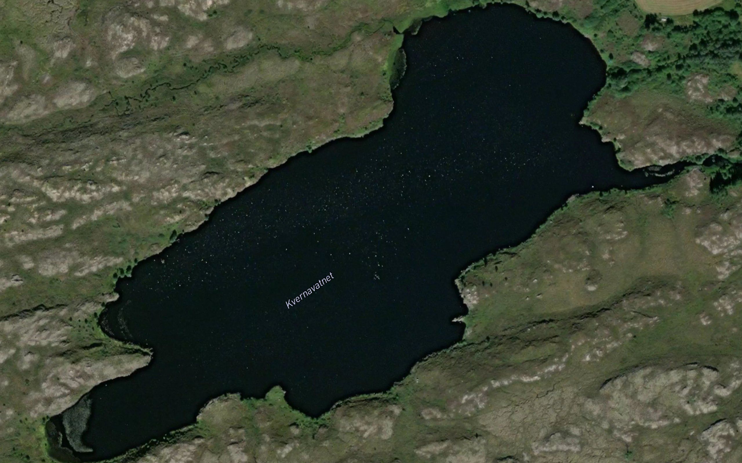 Nelvikvatnet
