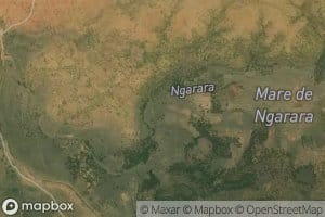 Ngarara