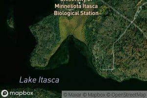 Floating Bog Bay