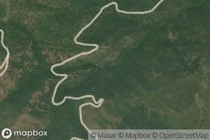 West Fork Tyler Creek