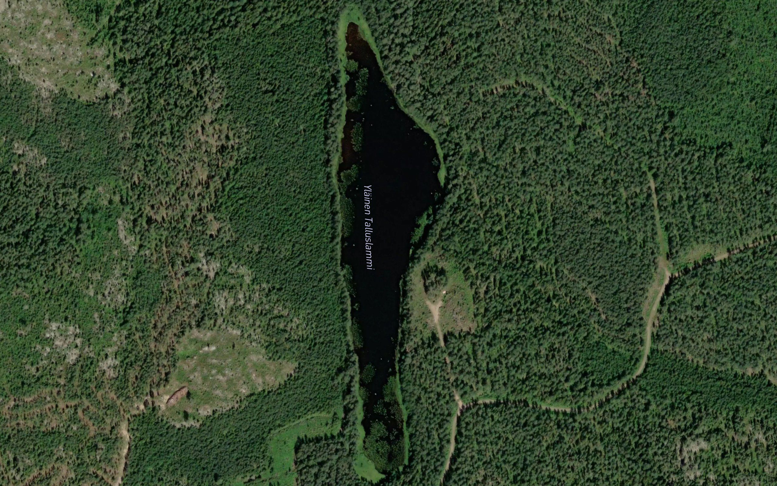 Ylainen Talluslammi