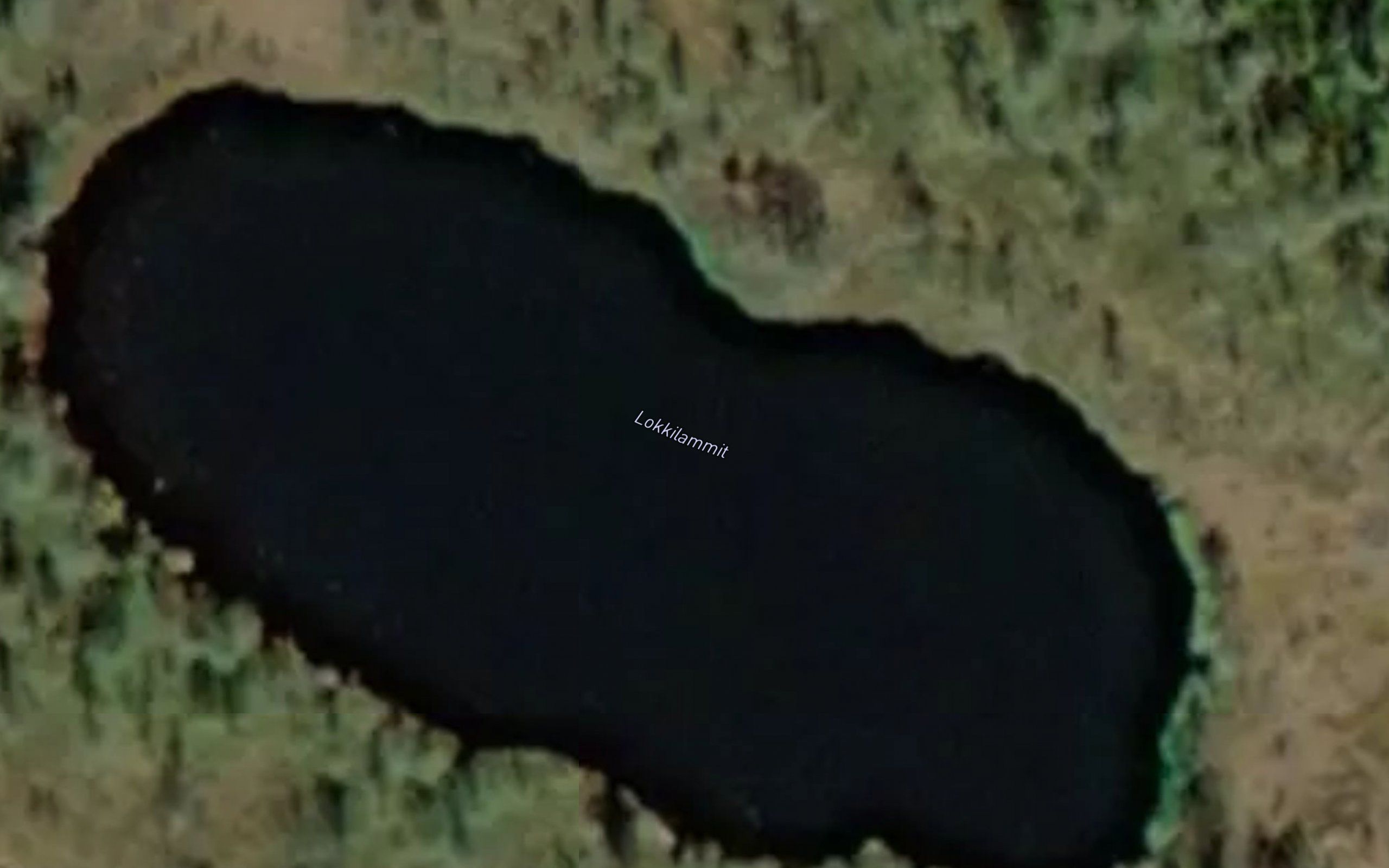 Lokkilammit