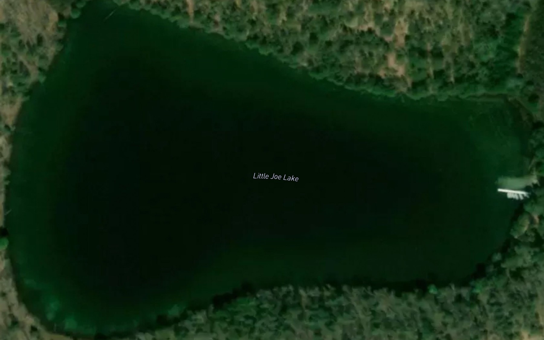 Satellite map of the Little Joe Lake