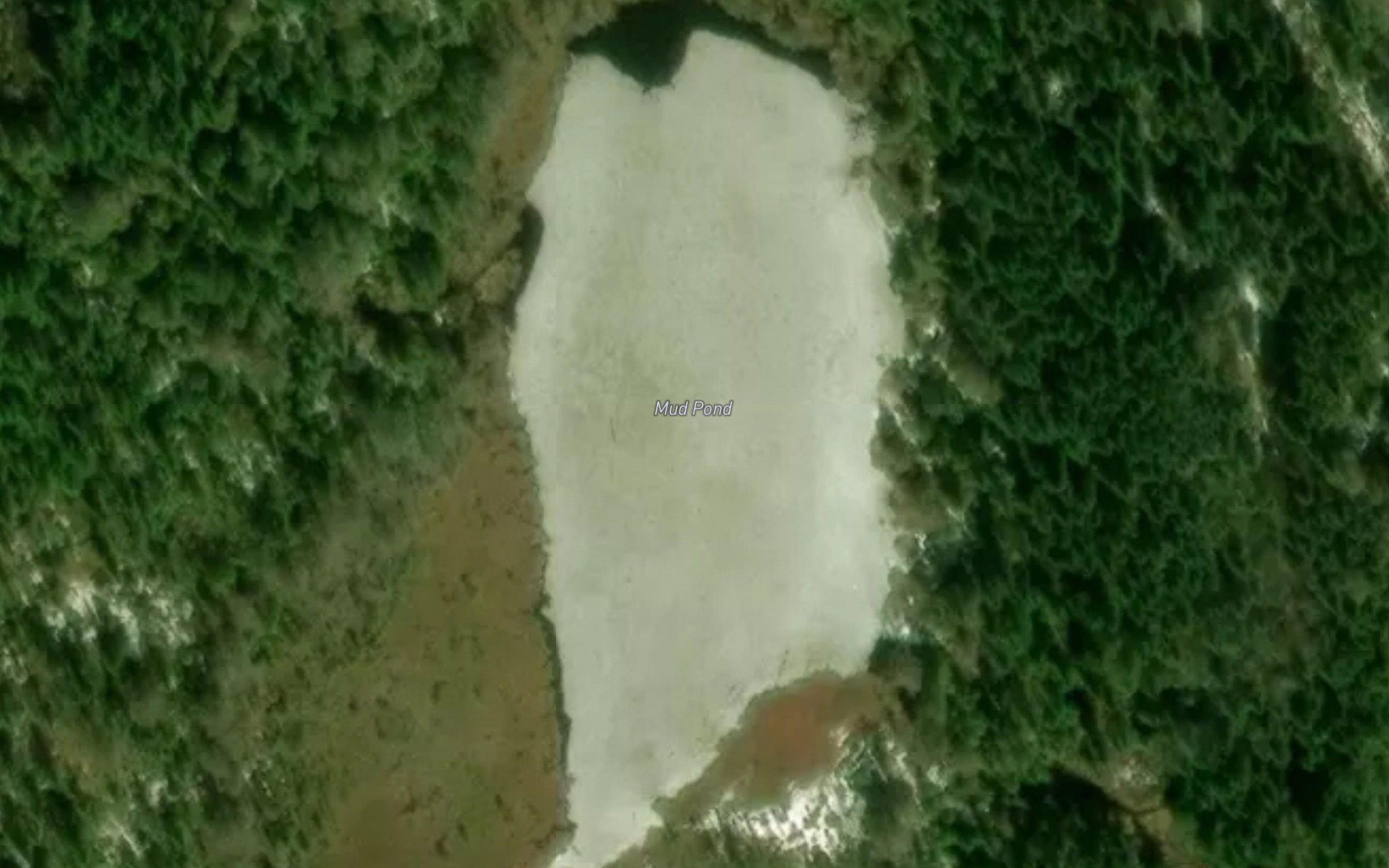 Mud Pond