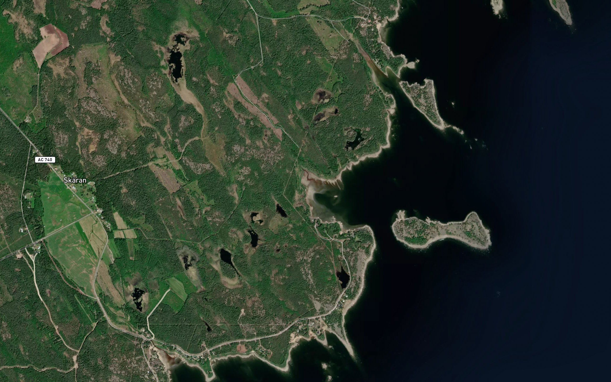Lillhavet