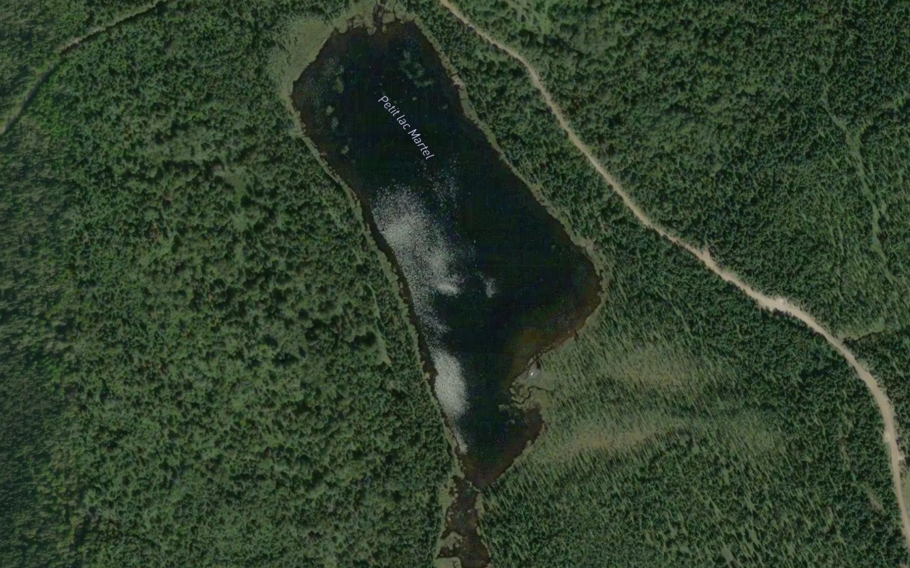 Satellite map of the Petit lac Martel