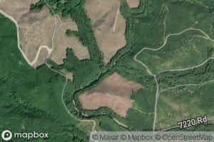 East Fork Grays River