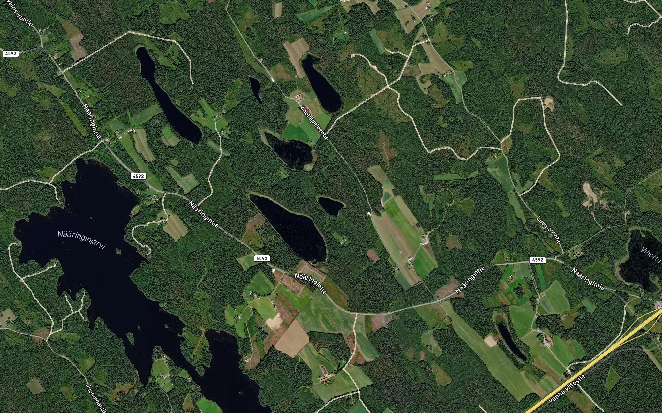 Haukilampi