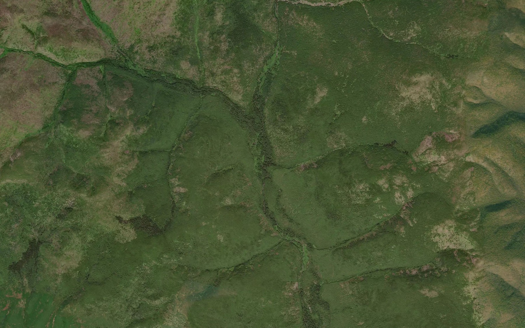 Satellite map of the Razliv