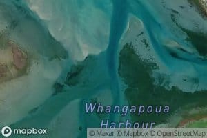 Whangapoua Harbour
