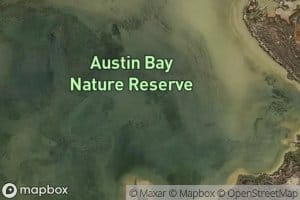 Austin Bay