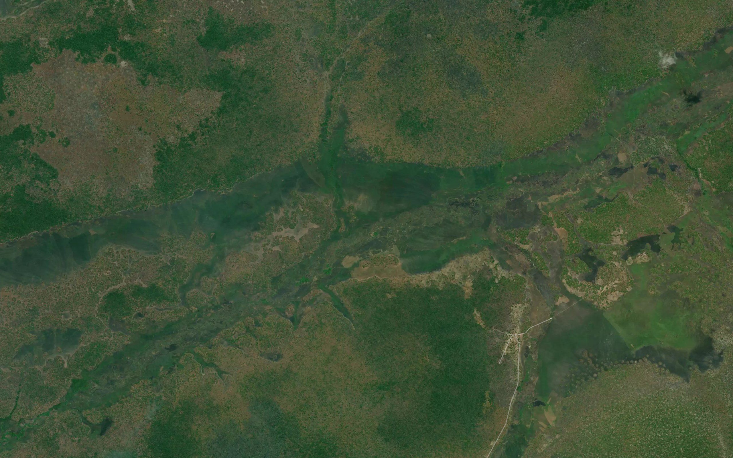 Nhambuhete