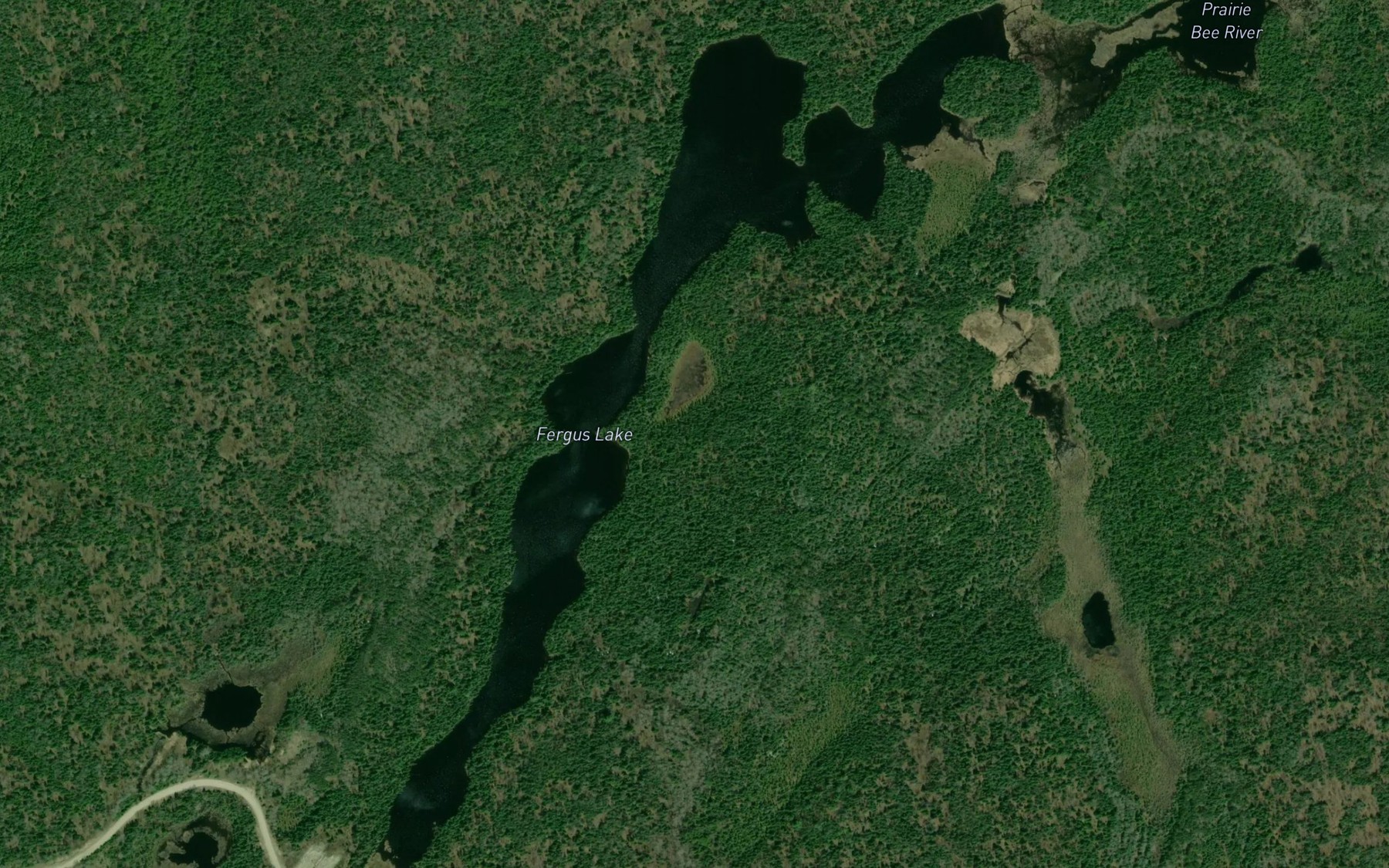 Satellite map of the Fergus Lake