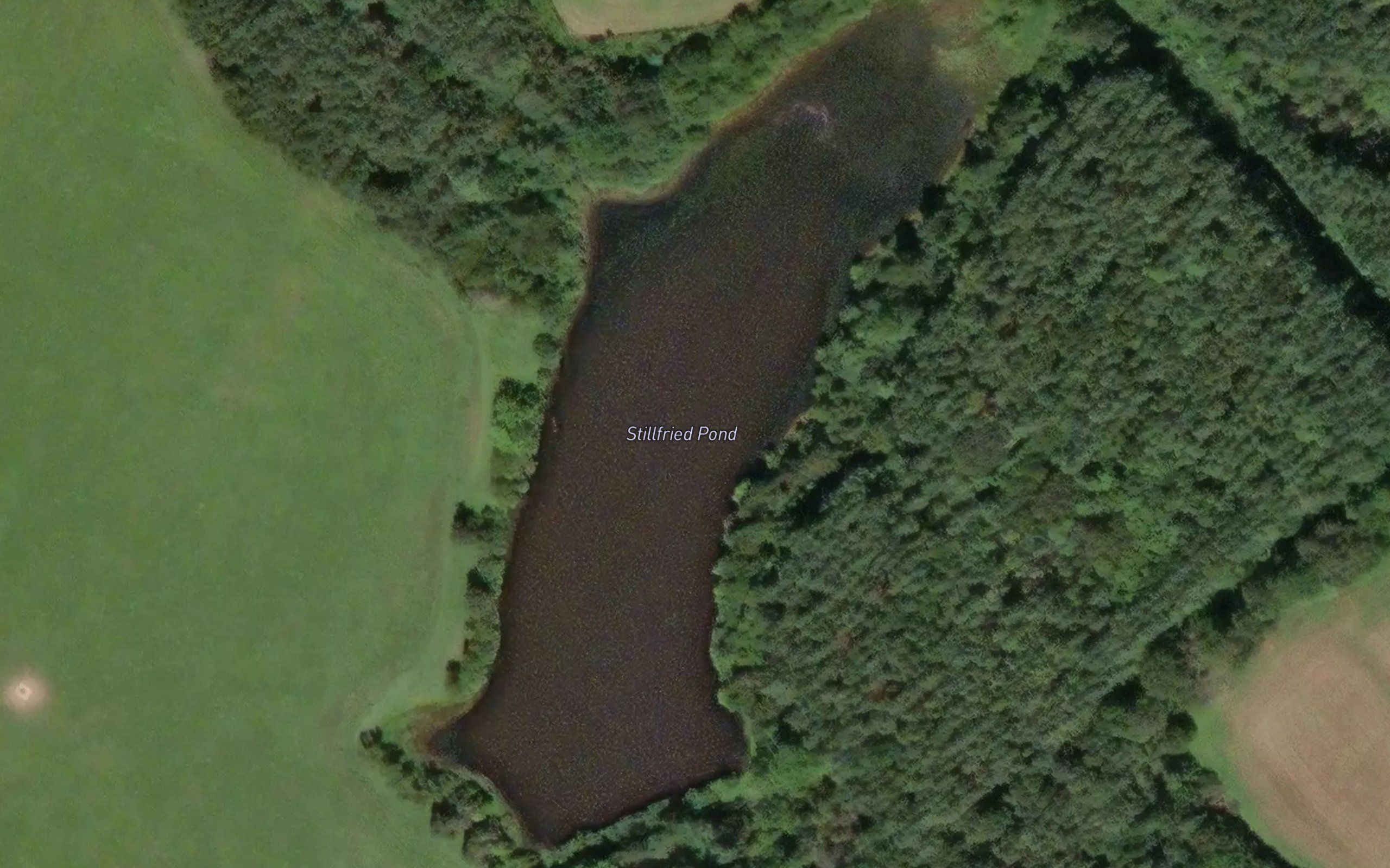 Stillfried Pond