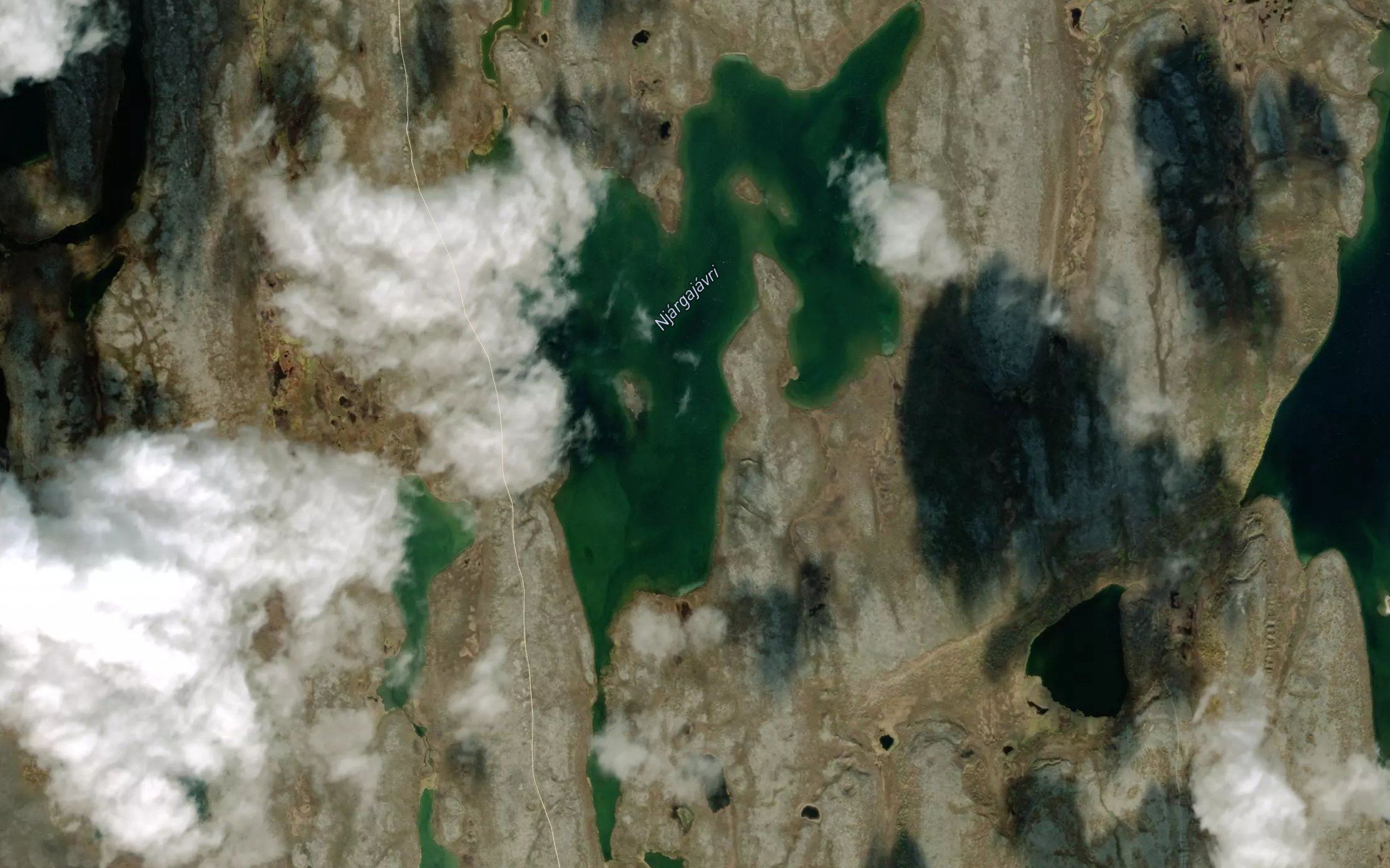 Njargajavri