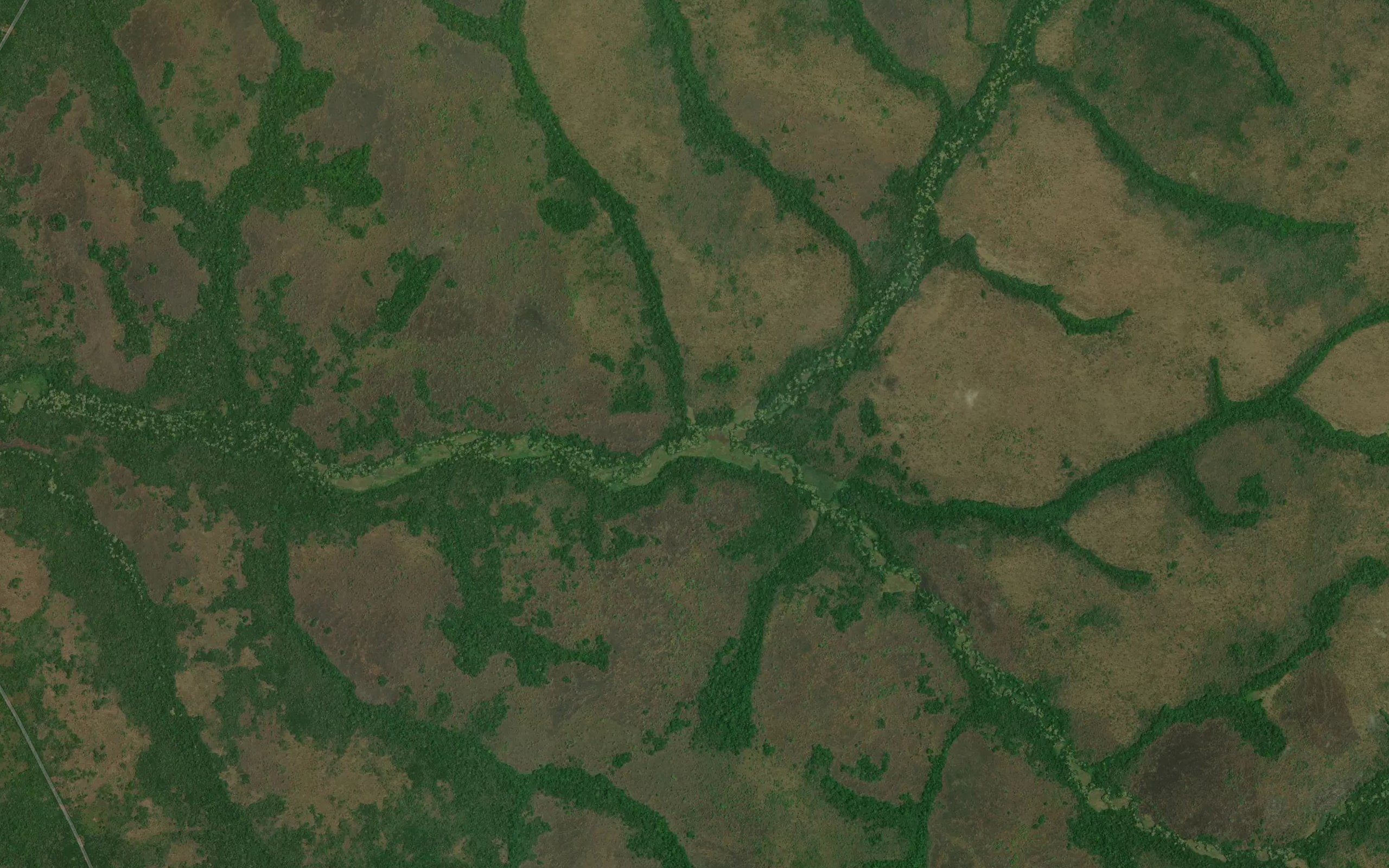 Nangili