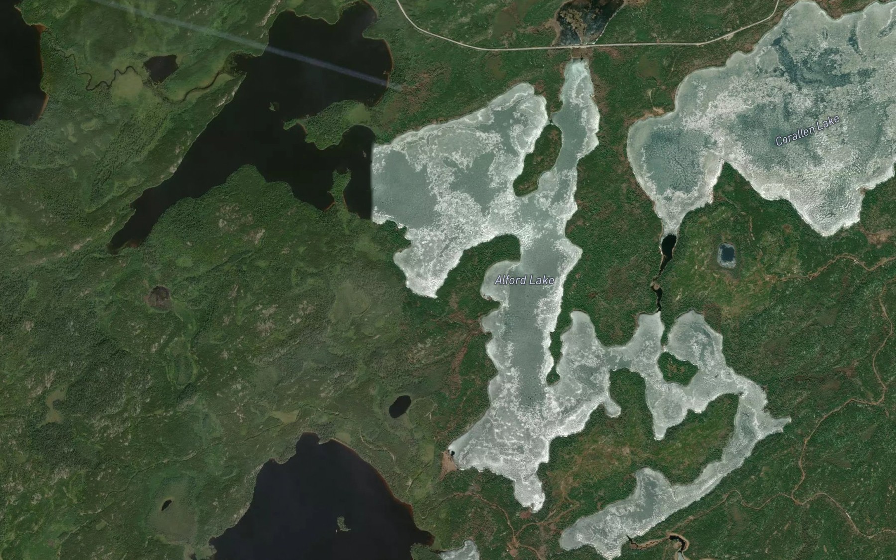 Satellite map of the Alford Lake