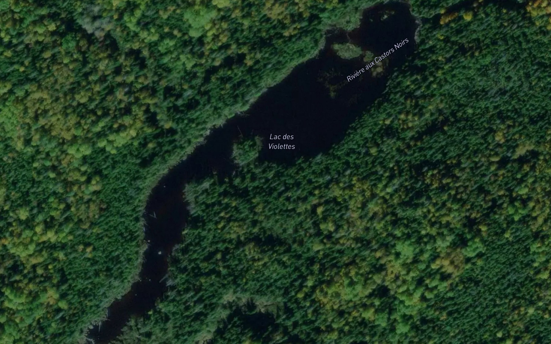 Satellite map of the Lac des Violettes