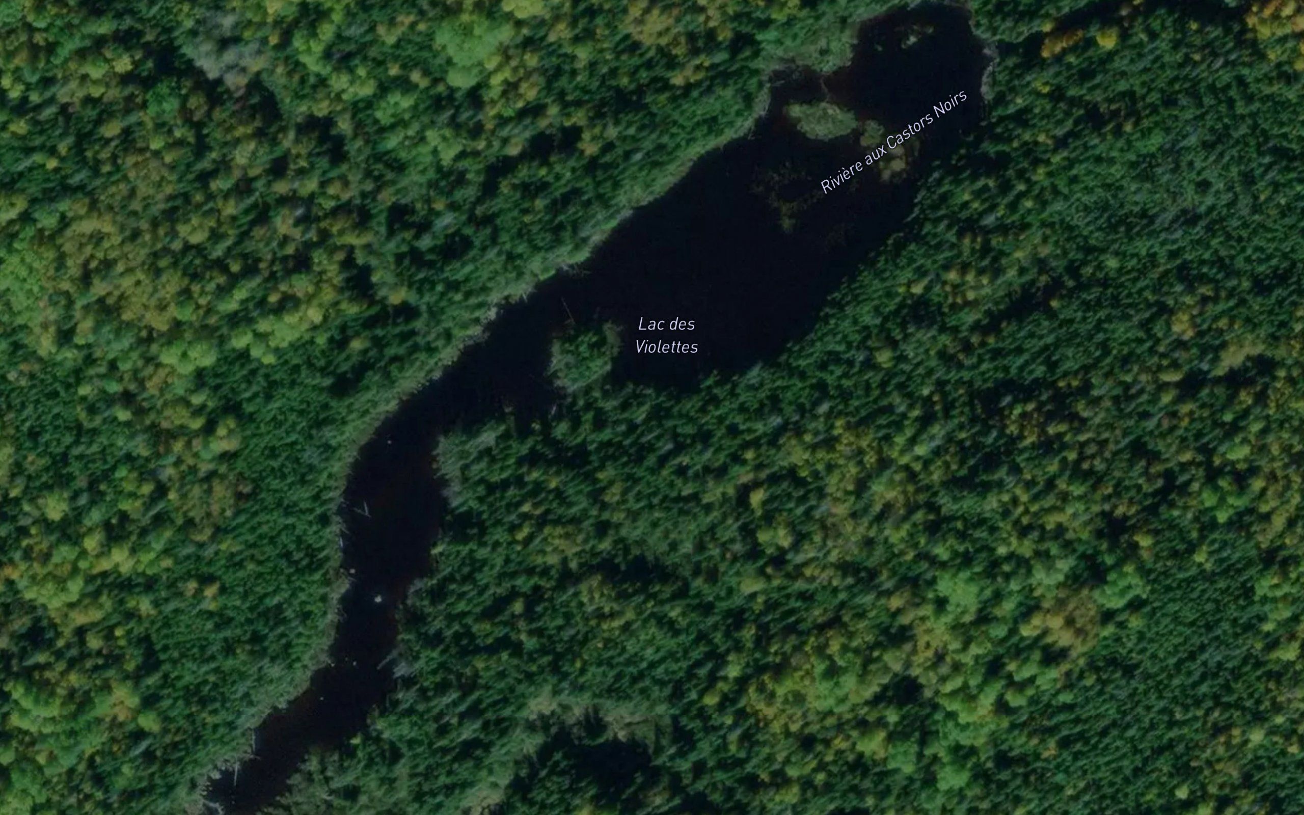 Lac des Violettes
