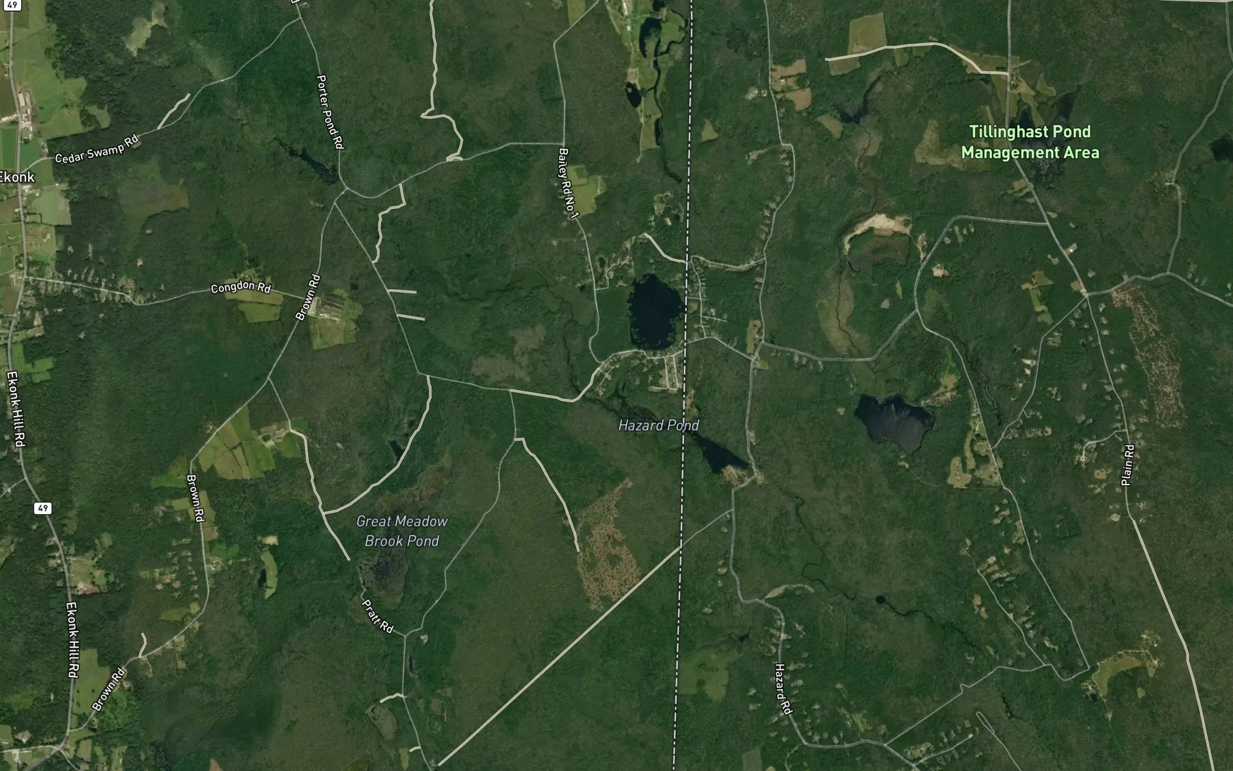 Satellite map of the Carson Brook