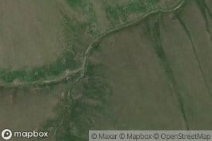 American Creek