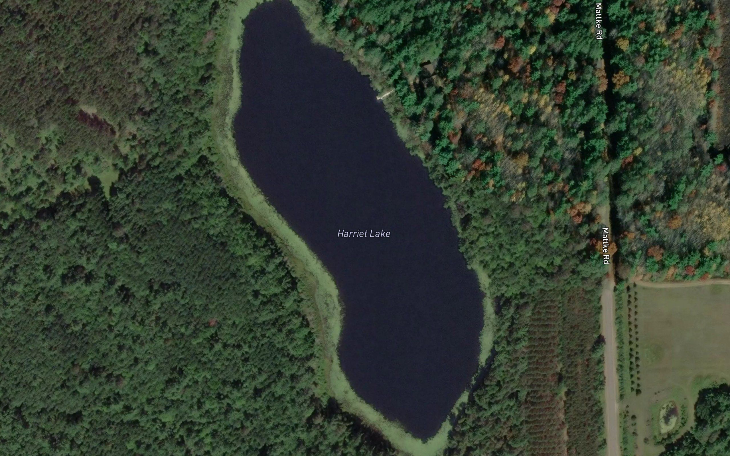 Harriet Lake