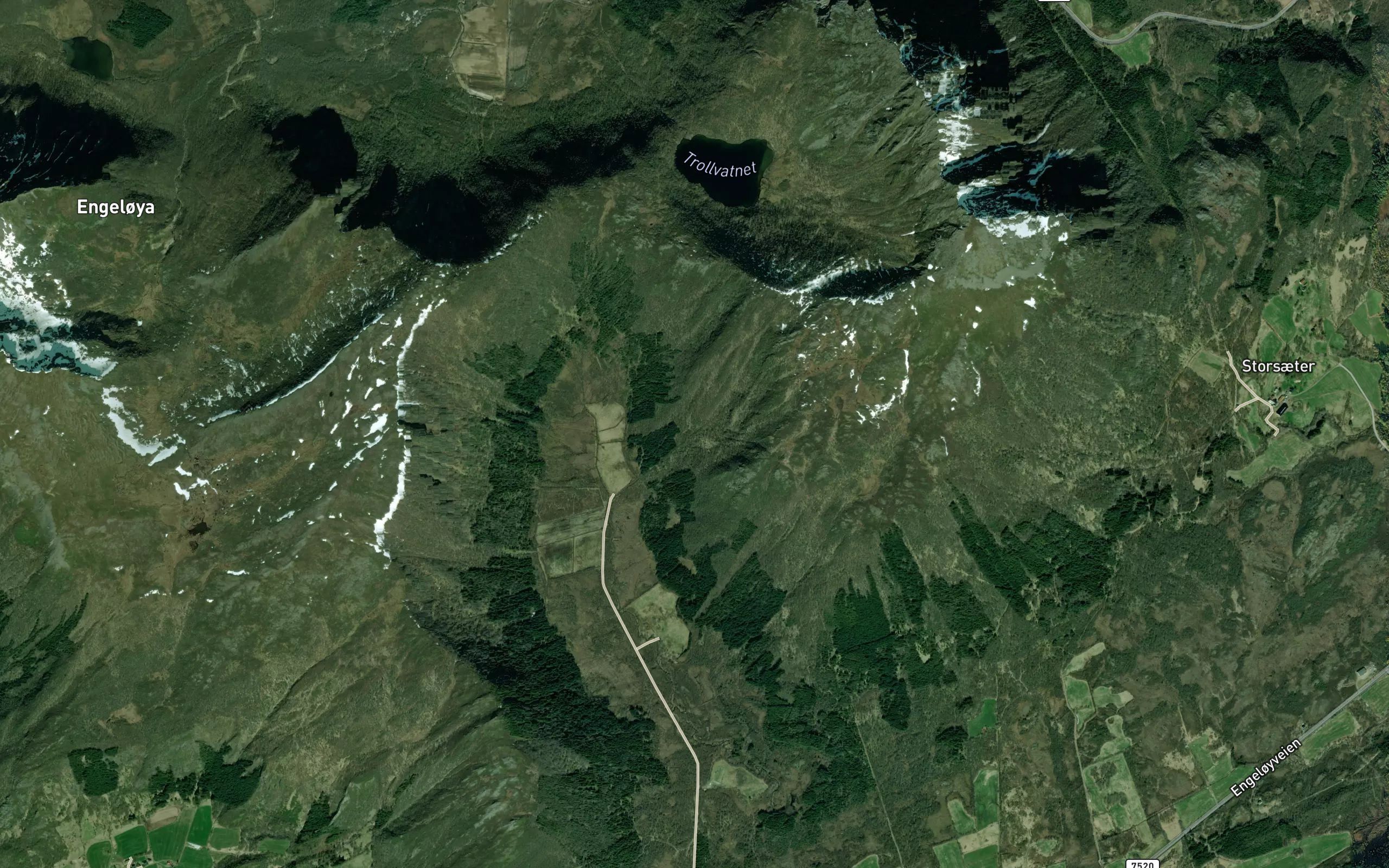 Ramselva