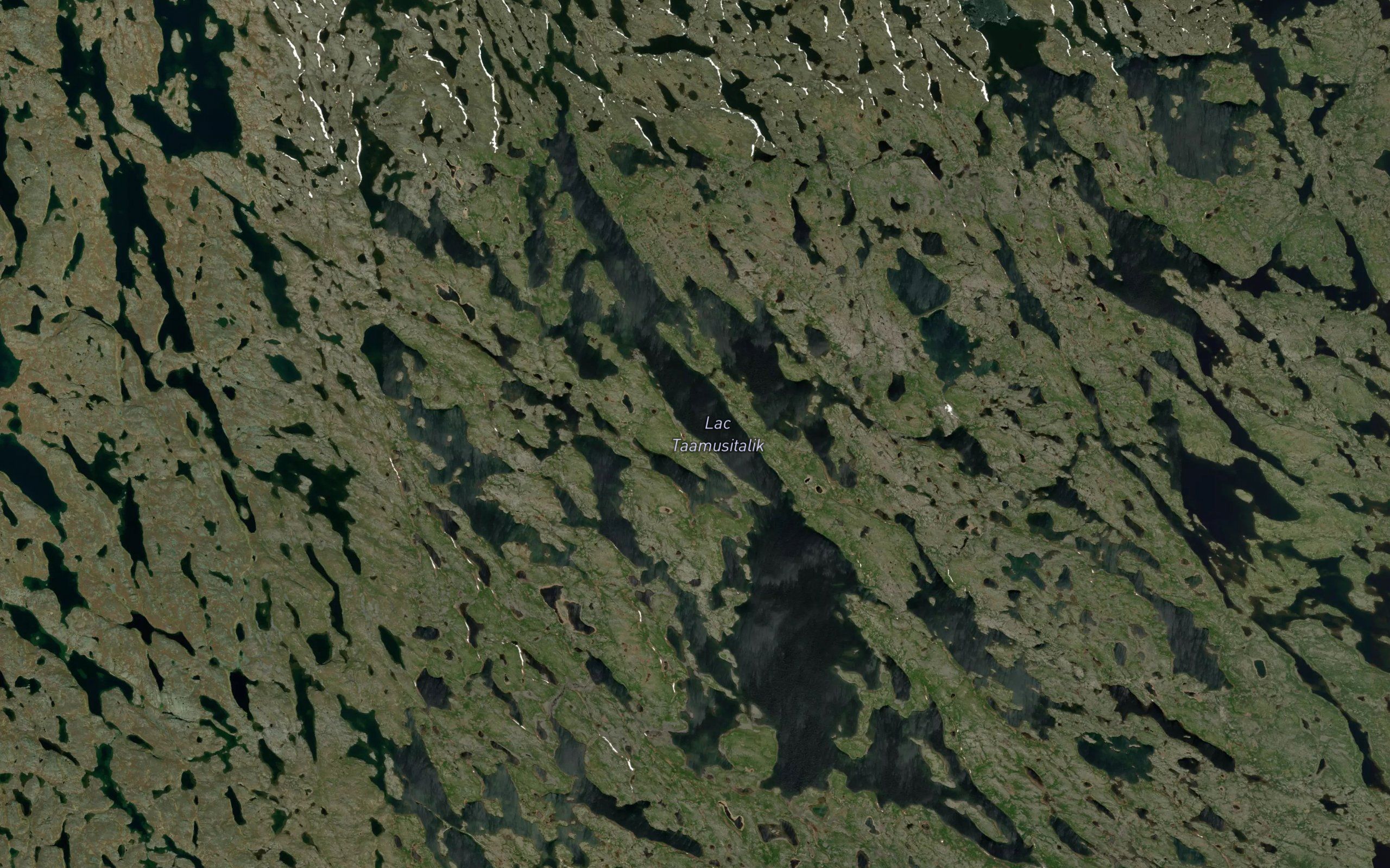 Lac Taamusitalik
