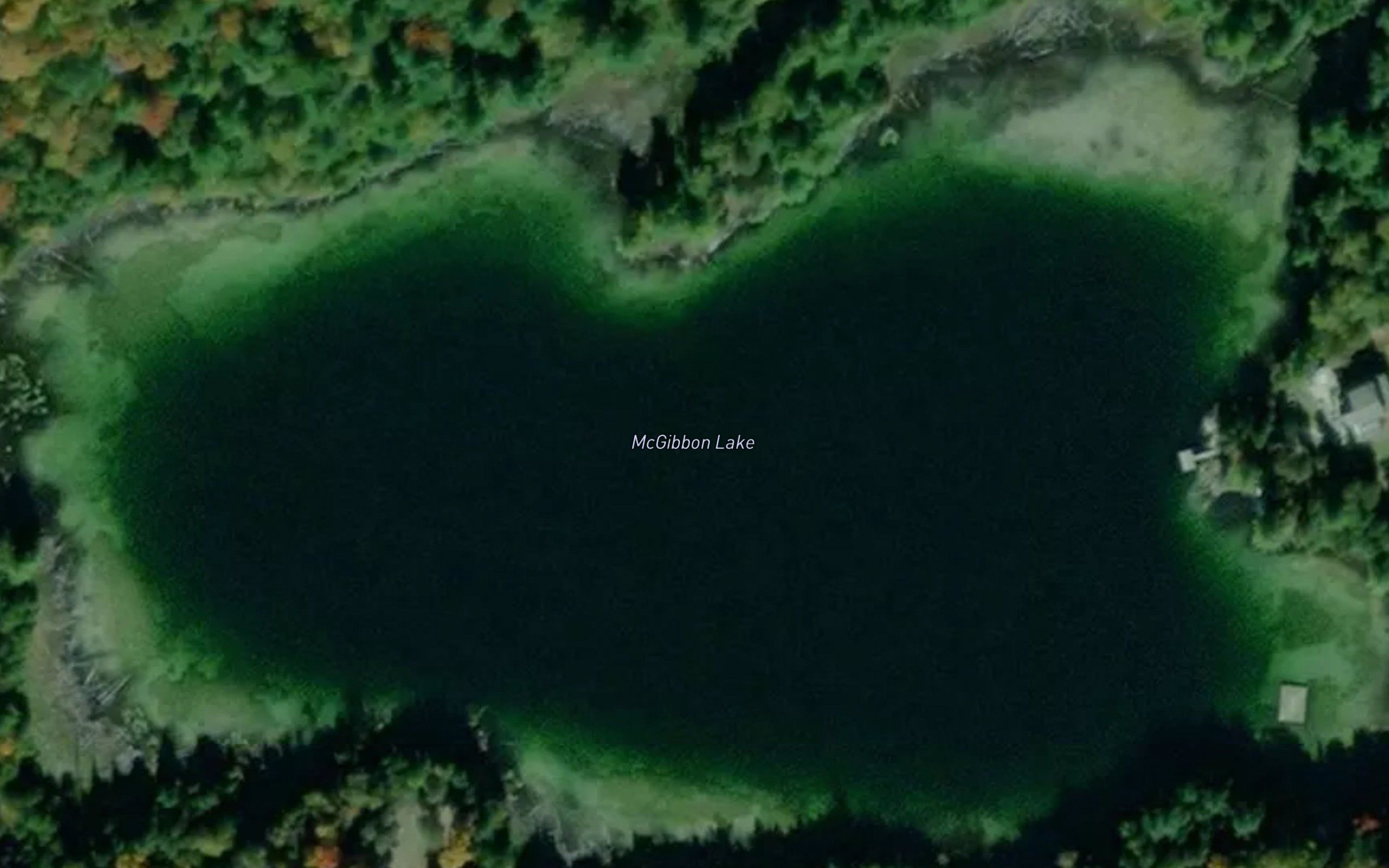 McGibbon Lake