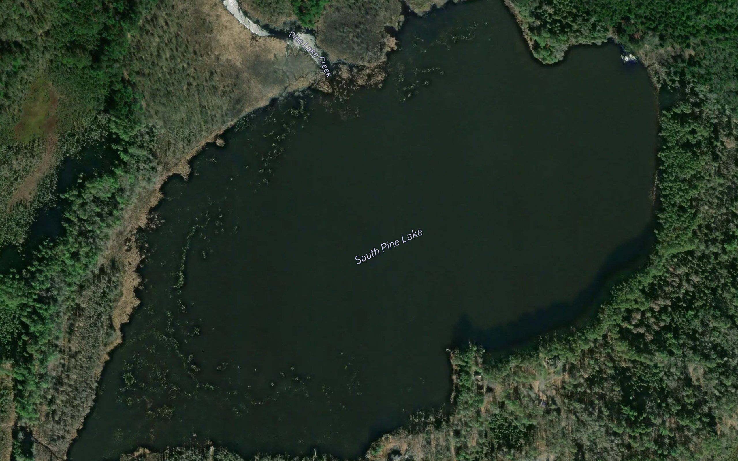 South Pine Lake