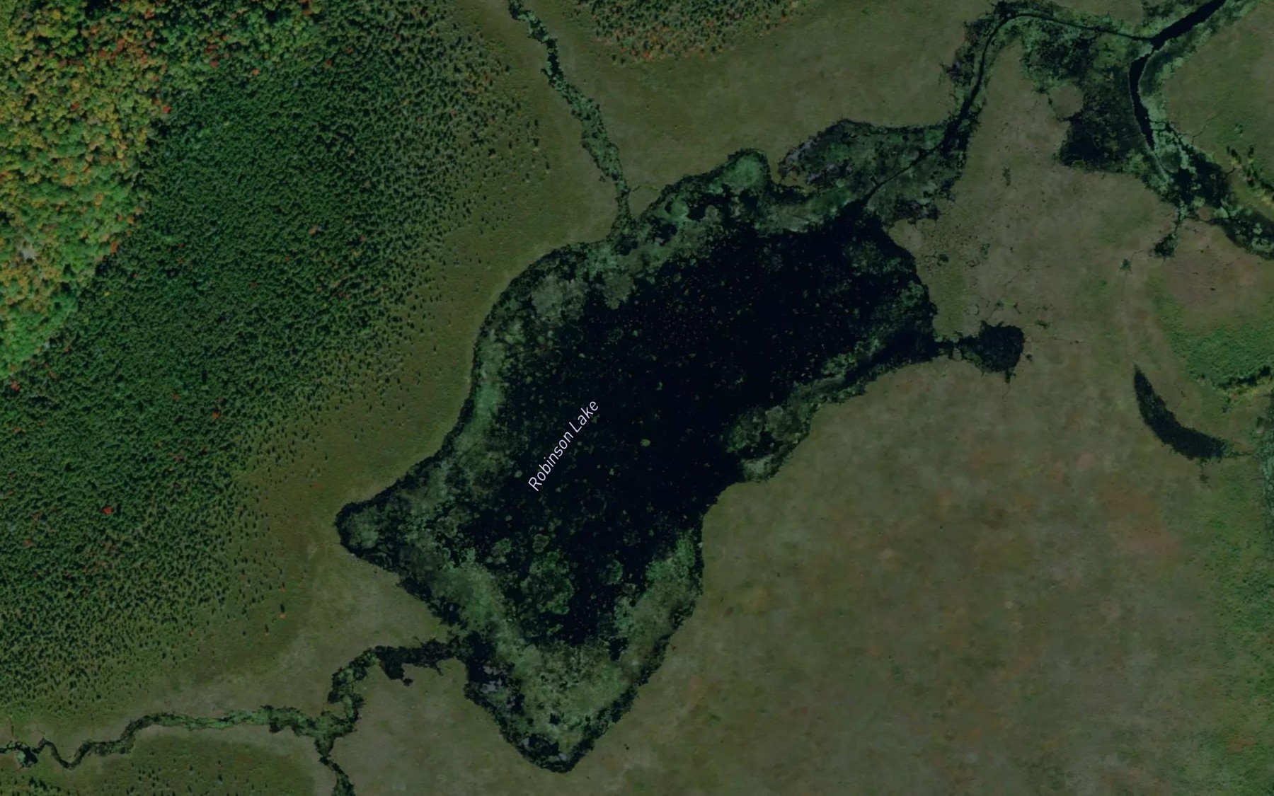 Satellite map of the Robinson Lake