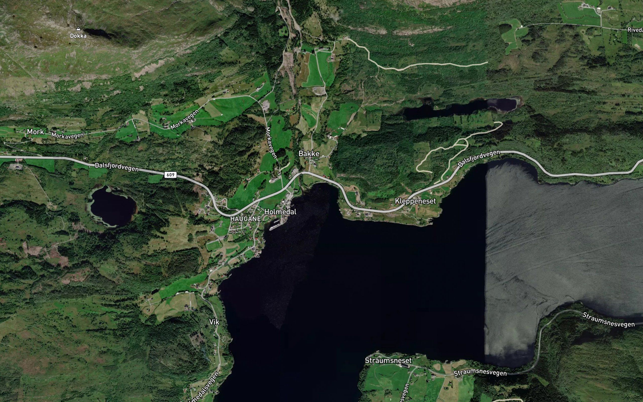 Bakkevika
